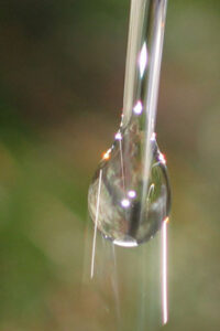 Drop_of_water_2003_05