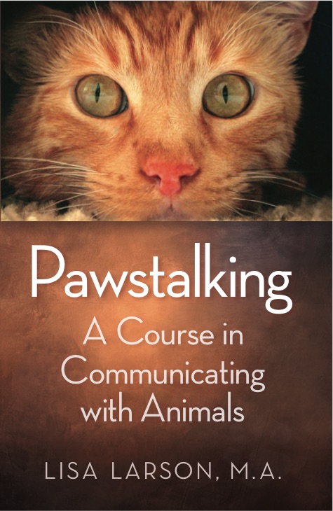 Pawstalk